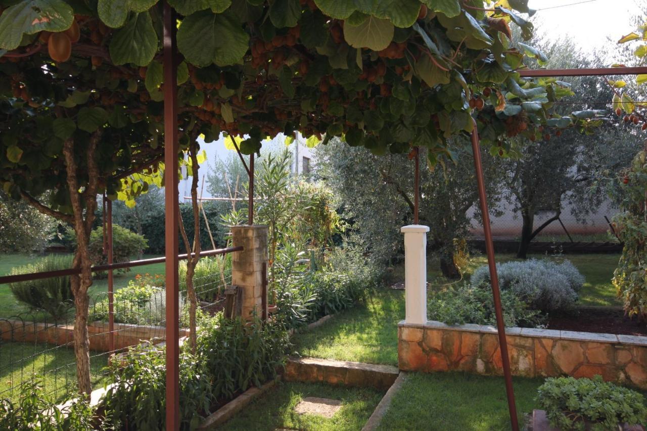 With A Parking Space - 6959 Apartment Umag